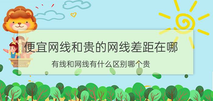 便宜网线和贵的网线差距在哪 有线和网线有什么区别哪个贵？